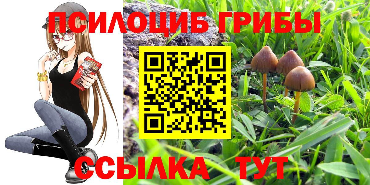 Галлюциногенные грибы Cubensis  магазин продажи наркотиков  Галлюциногенные грибы прущие грибы  Орехово-Зуево  Вход с VPN 